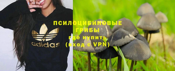 амф Нягань